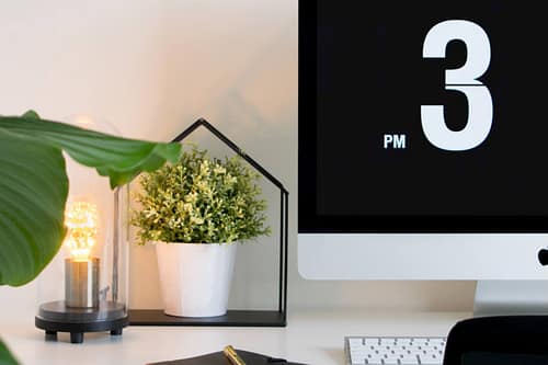 Phasellus gravida risus eget